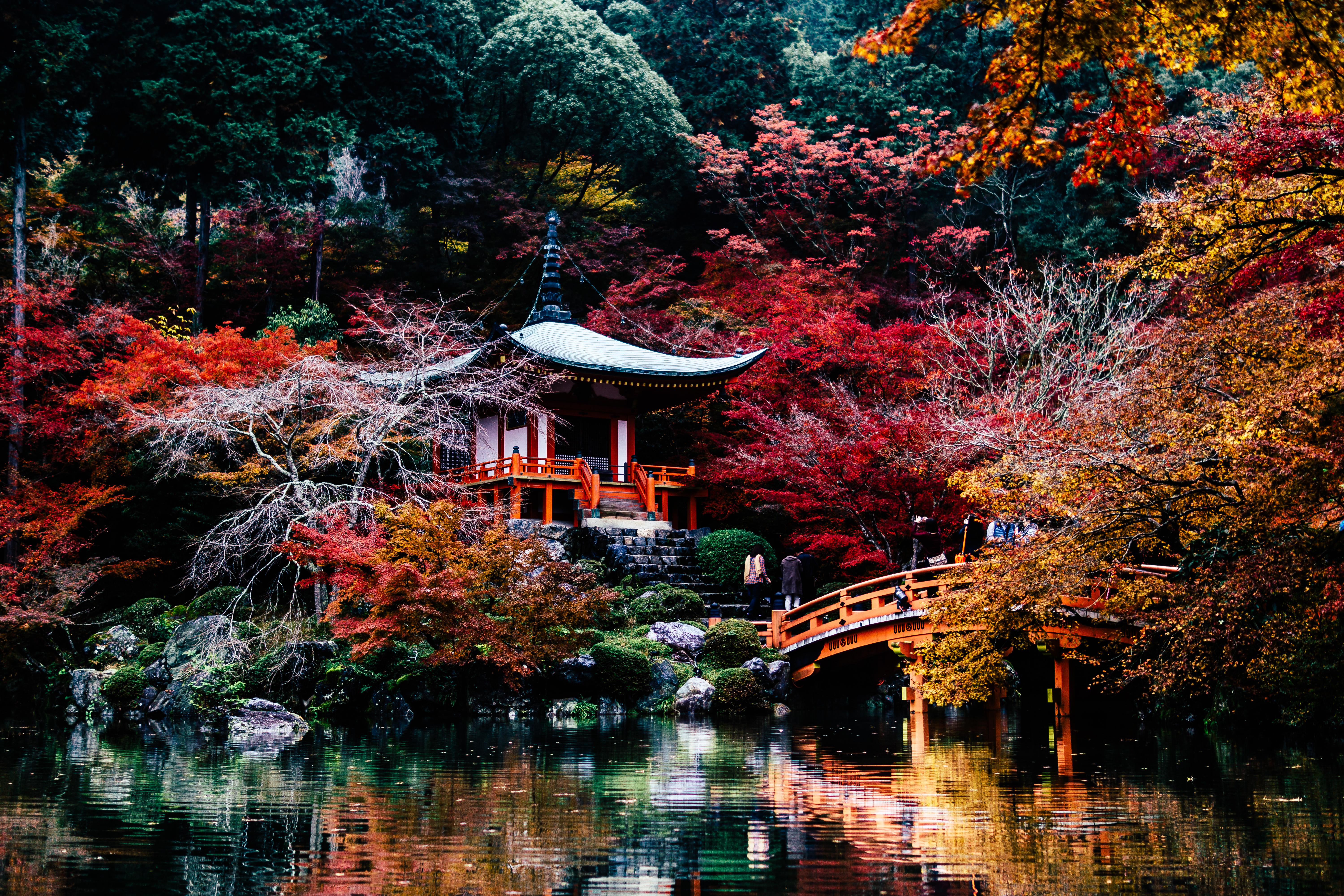 Киото япония. Киото (город в Японии). Япония город Киото природа. Киото пейзажи.